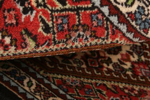 Bidjar Red Hand Knotted 15 X 20 Area Rug 253-26416 Image 3
