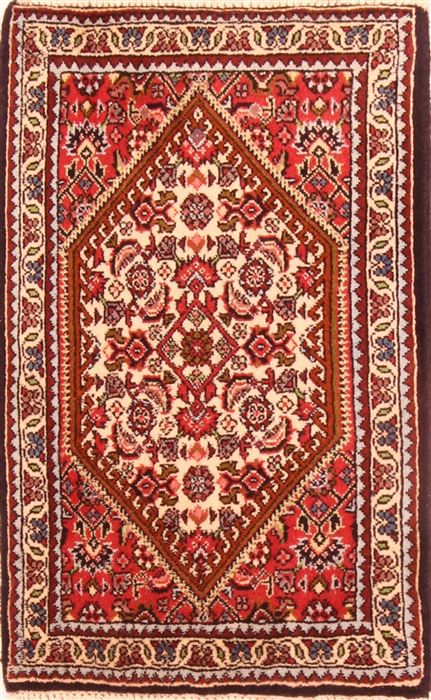 Bidjar Red Hand Knotted 15 X 20 Area Rug 253-26416 Image 0