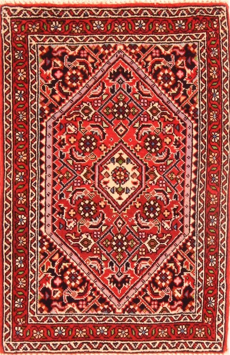 Bidjar Red Hand Knotted 15 X 20  Area Rug 253-26418 Image 0