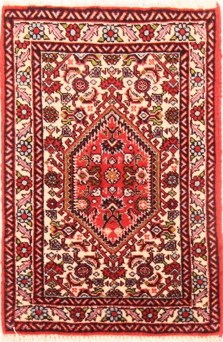 Birjand Red Hand Knotted 15 X 20  Area Rug 253-26419 Image 0