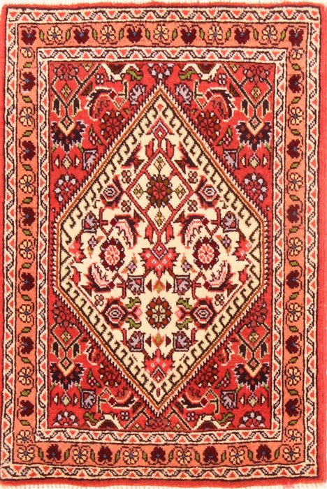 Bidjar Red Hand Knotted 15 X 20  Area Rug 253-26423 Image 0
