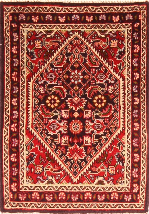 Bidjar Red Hand Knotted 15 X 20  Area Rug 253-26424 Image 0