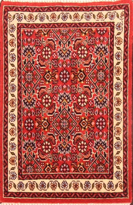 Bidjar Red Hand Knotted 15 X 20  Area Rug 253-26425 Image 0