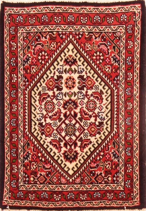 Bidjar Red Hand Knotted 15 X 20  Area Rug 100-26427 Image 0