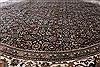 Herati Brown Round Hand Knotted 80 X 80 Area Rug 250-26475 Thumb 3