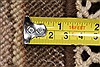 Kashmar Beige Round Hand Knotted 82 X 83 Area Rug 250-26490 Thumb 1
