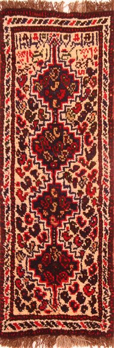 Hamedan Multicolor Runner Hand Knotted 15 X 41  Area Rug 253-26491 Image 0