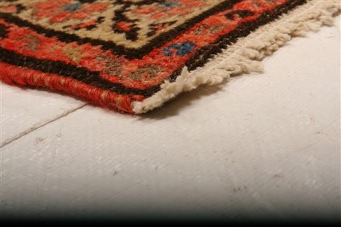 Malayer Orange Hand Knotted 49 X 60 Area Rug 253-26539 Image 5