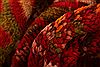 Kazak Red Hand Knotted 46 X 82 Area Rug 100-26550 Thumb 2