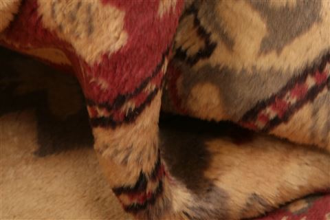 Kazak Beige Hand Knotted 46 X 610 Area Rug 100-26594 Image 1