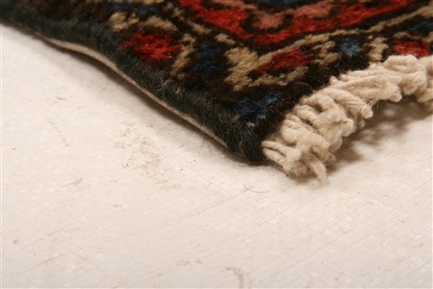 Hamedan Blue Hand Knotted 33 X 410 Area Rug 253-26754 Image 9