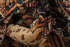 Shirvan Brown Hand Knotted 36 X 59 Area Rug 100-26758 Thumb 3