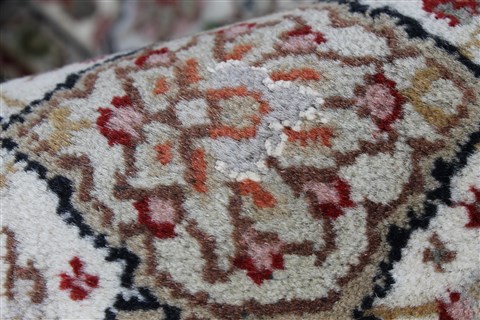 Mahi Beige Hand Knotted 59 X 80 Area Rug 250-26828 Image 13