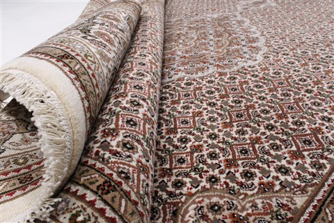 Mahi Beige Hand Knotted 58 X 80 Area Rug 250-26844 Image 11