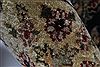 Pishavar Brown Hand Knotted 50 X 79 Area Rug 250-26869 Thumb 11