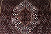 Bidjar Blue Hand Knotted 58 X 79 Area Rug 250-26883 Thumb 6