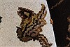 Kashmar Beige Hand Knotted 51 X 80 Area Rug 250-26890 Thumb 13