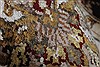 Kashmar Beige Hand Knotted 51 X 80 Area Rug 250-26890 Thumb 14