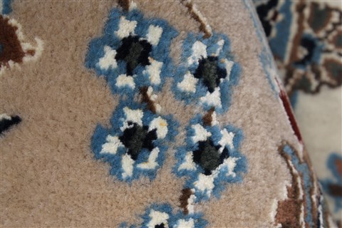 Nain Beige Hand Knotted 54 X 80 Area Rug 250-26900 Image 10