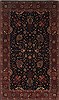 Tabriz Brown Hand Knotted 50 X 83  Area Rug 250-26901 Thumb 0