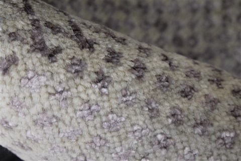 Modern Beige Hand Knotted 810 X 124 Area Rug 250-26925 Image 7
