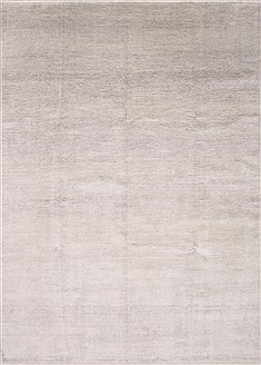 Modern Beige Hand Knotted 8'10" X 12'4"  Area Rug 250-26925