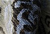Modern Black Hand Knotted 90 X 120 Area Rug 250-26928 Thumb 9