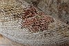 Pishavar Beige Hand Knotted 67 X 99 Area Rug 250-26934 Thumb 14