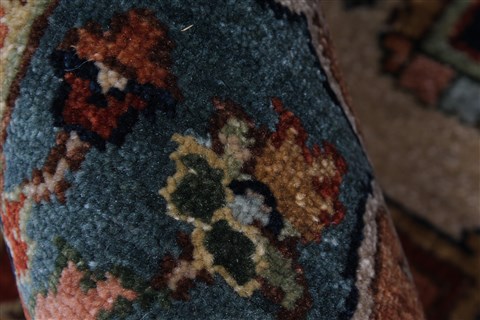 Serapi Beige Hand Knotted 511 X 811 Area Rug 250-26936 Image 9
