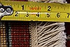 Sarouk Beige Hand Knotted 62 X 91 Area Rug 250-26951 Thumb 3