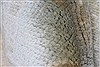 Oushak Beige Hand Knotted 90 X 1111 Area Rug 250-26956 Thumb 11