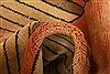Gabbeh Orange Hand Knotted 33 X 48 Area Rug 100-26957 Thumb 2