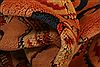 Kazak Orange Hand Knotted 37 X 51 Area Rug 100-26988 Thumb 2