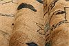 Mahal Brown Hand Knotted 130 X 180 Area Rug 253-27057 Thumb 2