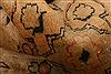 Mahal Brown Hand Knotted 107 X 193 Area Rug 100-27060 Thumb 2