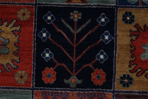 Bakhtiar Multicolor Hand Knotted 410 X 610 Area Rug 250-27061 Image 11