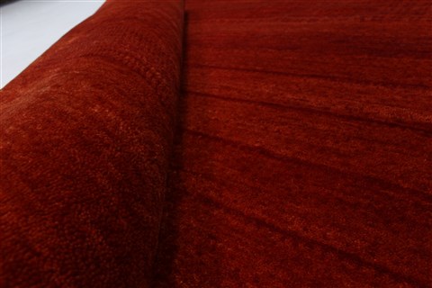 Gabbeh Red Hand Knotted 48 X 68 Area Rug 250-27068 Image 5
