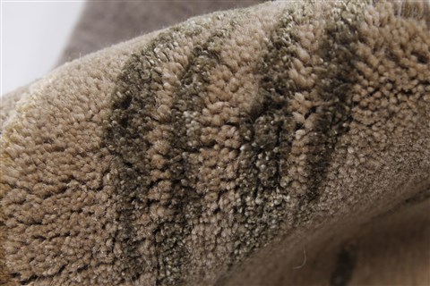 Modern Brown Hand Knotted 50 X 80 Area Rug 250-27070 Image 5
