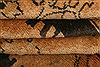 Moshk Abad Beige Hand Knotted 105 X 176 Area Rug 100-27103 Thumb 5