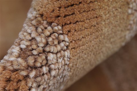 Modern Beige Hand Knotted 50 X 76 Area Rug 250-27105 Image 9