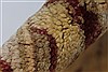 Pishavar Beige Hand Knotted 53 X 65 Area Rug 250-27143 Thumb 1