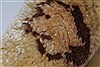 Pishavar Beige Hand Knotted 50 X 70 Area Rug 250-27144 Thumb 1
