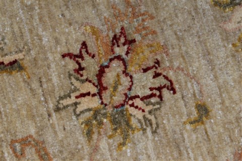 Pishavar Beige Hand Knotted 52 X 64 Area Rug 250-27151 Image 10