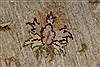 Pishavar Beige Hand Knotted 52 X 64 Area Rug 250-27151 Thumb 10
