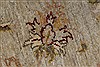 Pishavar Beige Hand Knotted 52 X 64  Area Rug 250-27151 Thumb 10