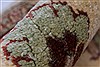 Pishavar Beige Hand Knotted 411 X 67 Area Rug 250-27173 Thumb 12