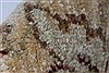 Pishavar Beige Hand Knotted 53 X 67 Area Rug 250-27179 Thumb 1