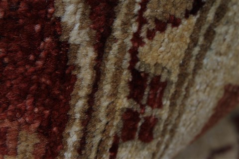 Pishavar Beige Hand Knotted 50 X 66 Area Rug 250-27202 Image 12