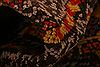 Kazak Multicolor Hand Knotted 31 X 49 Area Rug 253-27214 Thumb 5