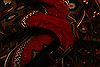 Kazak Red Hand Knotted 32 X 66 Area Rug 100-27222 Thumb 2